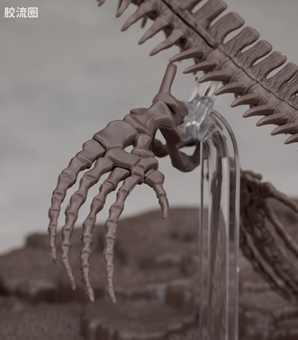 万代综合拼装模型系列 Imaginary Skeleton系列 沧龙 - 图片